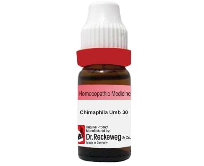 Chimaphilla Umb 3x